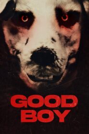 Good Boy 2022 Online Watch Full Movie