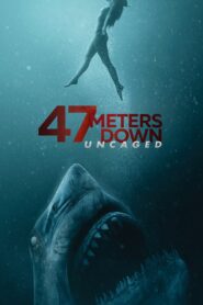 47 Meters Down: Uncaged 2019 Online Watch Full Movie