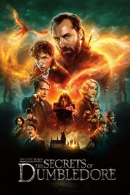 Fantastic Beasts: The Secrets of Dumbledore 2022 Online Watch Full Movie