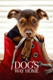 A Dog’s Way Home 2019 Online Watch Full Movie