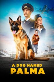 A Dog Named Palma 2021 Online Watch Full Movie