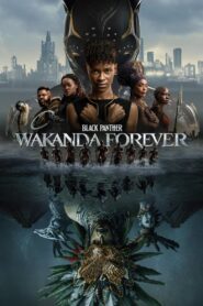 Black Panther: Wakanda Forever 2022 Online Watch Full Movie