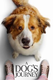 A Dog’s Journey 2019 Online Watch Full Movie