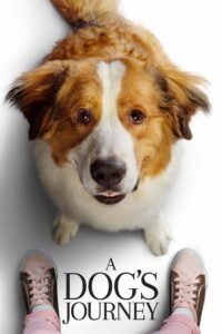 A Dog’s Journey 2019 Online Watch Full Movie