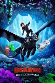 How to Train Your Dragon: The Hidden World 2019 Online Watch Full Movie