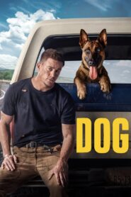 Dog 2022 Online Watch Full Movie