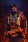 Pushpa 2 – The Rule 2024 Online Watch Full Movie