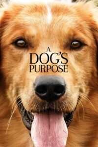 A Dog’s Purpose 2017 Online Watch Full Movie