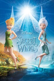 Secret of the Wings 2012 Online Watch Full Movie