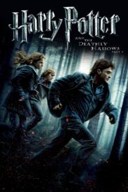 Harry Potter and the Deathly Hallows: Part 1 2010 Online Watch Full Movie