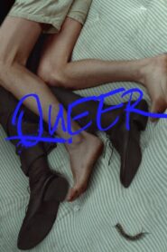 Queer 2024 Online Watch Full Movie